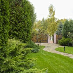 Проект дачного участка - организация пространства фото